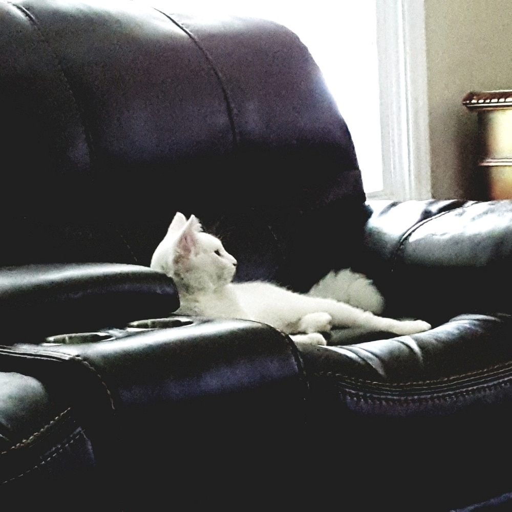 Meet your Posher, Patrick